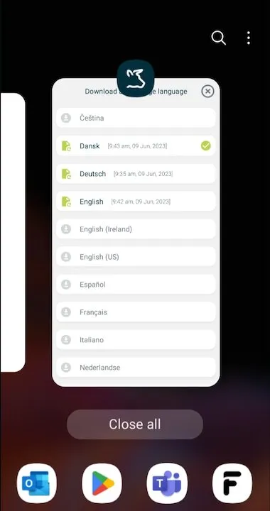 change language 8